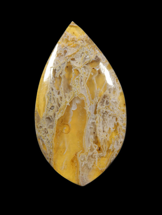 Gold Tinted Ho Creek Moss Agate Doublet Cabochon