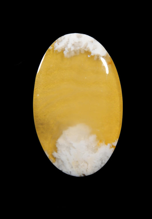 Gold Tinted Stinking Water Plume Agate Doublet Cabochon